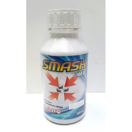 Smash 100 EC